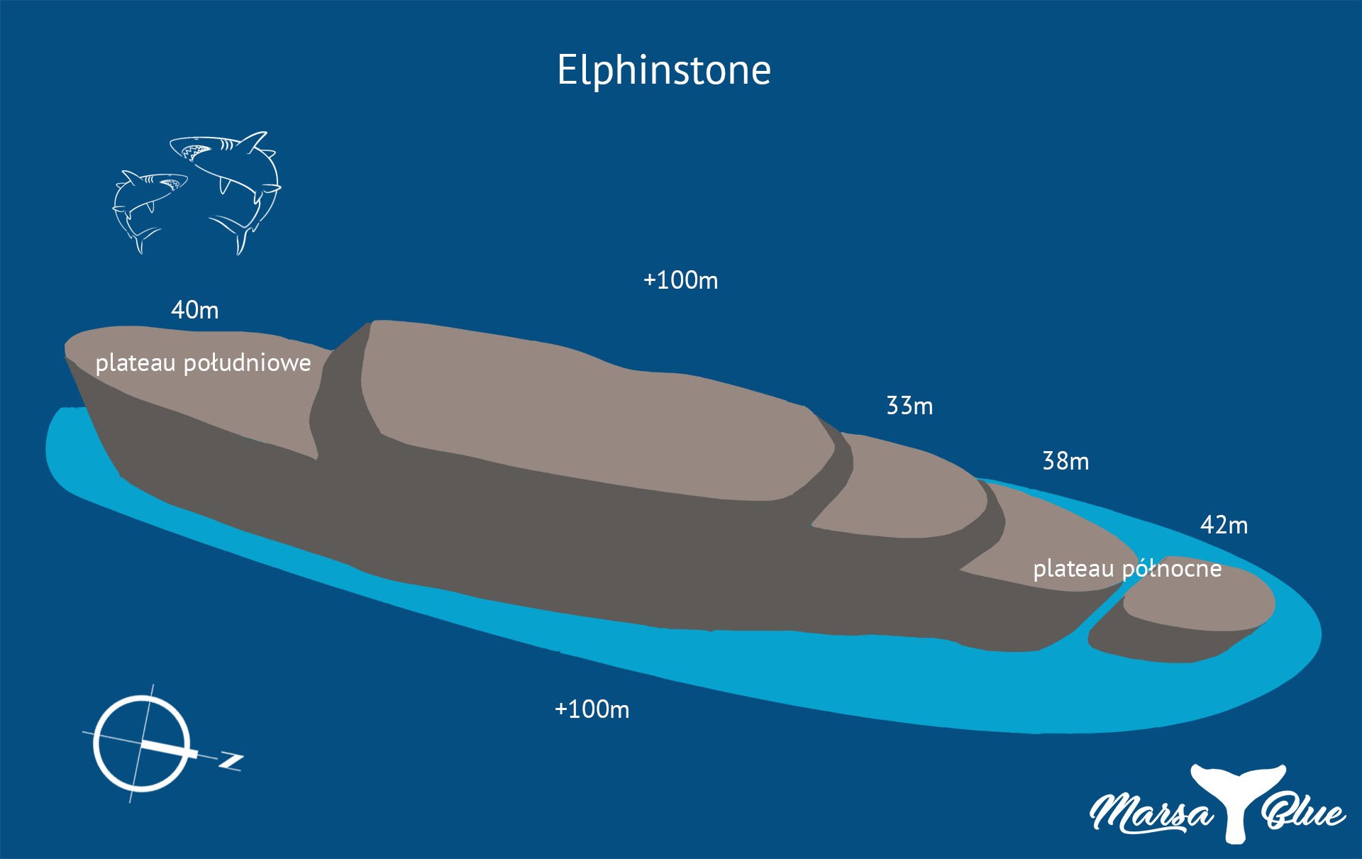 Elphinstone - Mapa spotu nurkowego